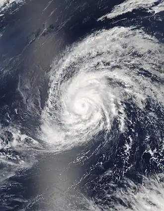 imagem ilustrativa de artigo Tufão Kong-rey (2007)