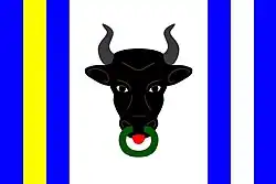 Bandeira de Koroužné