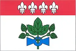 Bandeira de Koštice