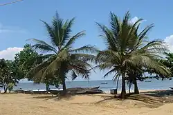 Praia de Kribi