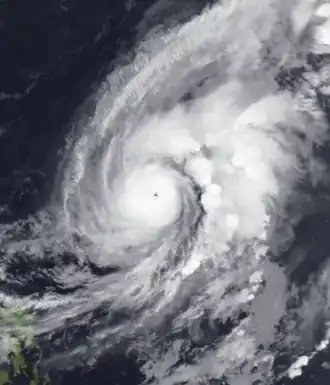 imagem ilustrativa de artigo Tufão Kujira (2009)