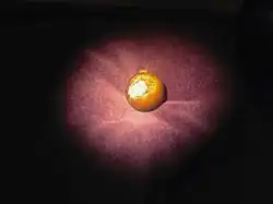 O botão que, segundo a lenda, matou o rei Carlos XII, em 1718.