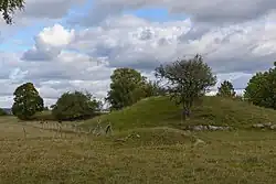 Montes funerários de Adelsö (Kungshögarna)