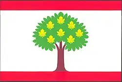Bandeira de Kutrovice