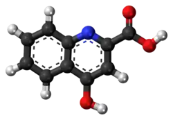 Ball-and-stick model of kynurenic acid