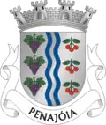 Brasão de armas de Penajoia