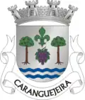 Brasão de armas de Caranguejeira