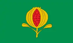 Bandeira de La Granada de Río-Tinto