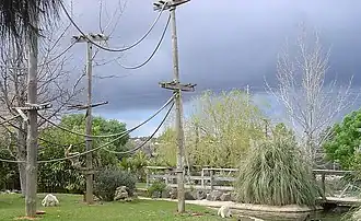 Área dos primatas, no zoo de Lagos