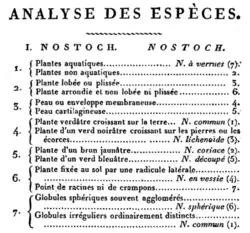 chave dicotômica em língua francesa, com sete passos, para o gênero botânico Nostoch
