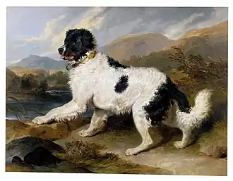 Leão: Um Cão de Terra Nova, 1824