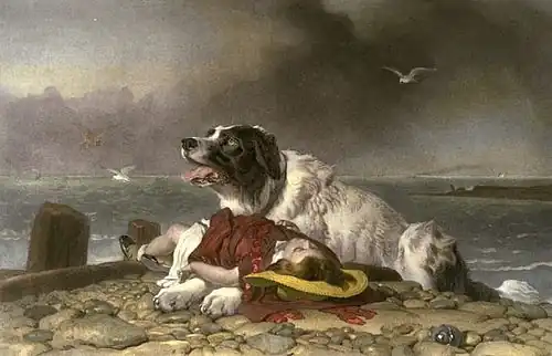 Edwin Landseer: Salvo, 1856.