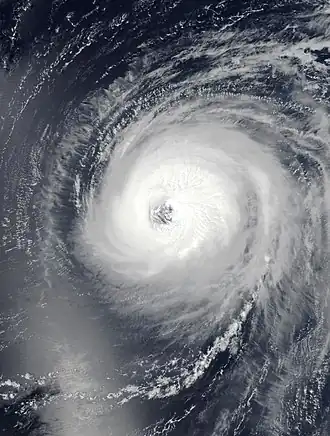 imagem ilustrativa de artigo Furacão Larry