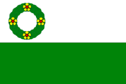 Bandeira de Lásenice