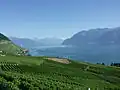 Lavaux e os Alpes