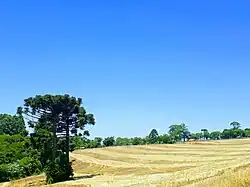 Vista parcial da Colônia Augusta Vitória, em Ortigueira.