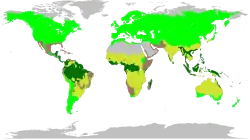 Distribuição natural das Fabaceae. As leguminosas estão presentes nos quatro maiores biomas: floresta tropical, temperados, pradarias e suculentas.[4]