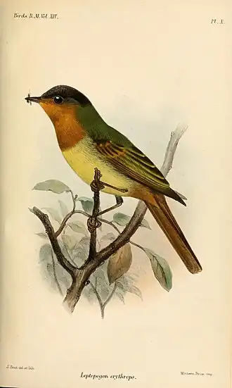 Ilustração de Joseph Smit, 1888