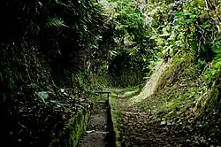 Levada