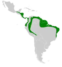 Distribuição de Lichonycteris obscura na América Central e América do Sul