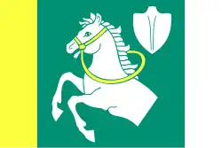 Bandeira de Litovany