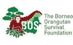 upright=!Artigos sem imagens