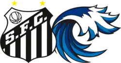 Santos Futebol Clube Parceiro E Dono Do Clube