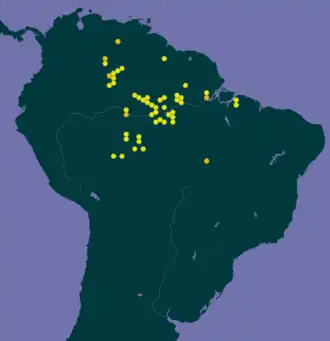 Mapa de distribuição da L. longifolia com zoom na América do Sul.[1]