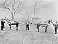 Louis Cyr preparado para conter dois cavalos, em 1891.