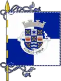 Bandeira de Estrela
