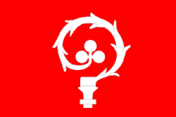 Bandeira de Ludgeřovice