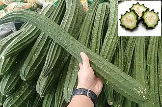 Luffa acutangula, frutos imaturos à venda num mercado asiático.