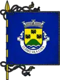 Bandeira de Luzim e Vila Cova