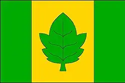 Bandeira de Město Albrechtice