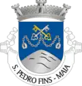Brasão de armas de São Pedro Fins