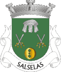 Brasão de armas de Salselas
