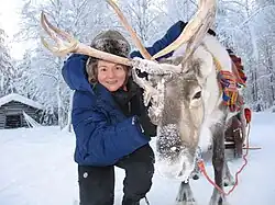 Uma rena do Pai Natal (br: Papai Noel)