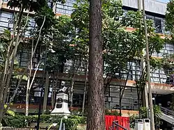 Bosque das Fadas, com vista para a FAU.