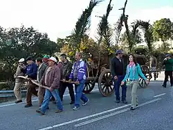 Transportando o Madeiro. Proença-a-Velha 2008