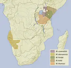 Distribuição do dik-dik-de-ugogo (M. thomasi)