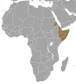 Território do dik-dik-de-salt