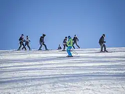 Grupo de esquiadores em uma planície com gelo. Um esquiador mais a frente é o instrutor.