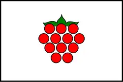 Bandeira de Malenovice