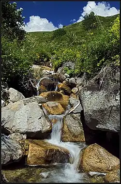 Horizonte de Racha-Lechúmia e Baixa Suanécia