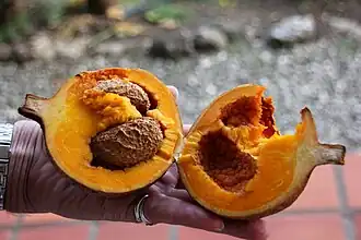 Fruto da Mammea americana