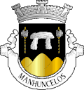 Brasão de armas de Manhuncelos