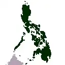 O holótipo de E. enigmaticum foi coletado em Mindanau, a maior ilha ao sul das Filipinas.