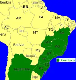 Mapa mostrando a disribuição de Mesophalia sp no Brasil em: Bahia, Goiás, regiões sudeste e sul e na Argentina.