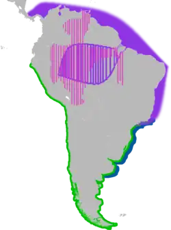 * Em rosa , a região do boto-cor-de-rosa * Em roxo , a região do boto-cinza * Em azul , a região do golfinho-do-rio-da-prata * Em verde , a região de Phocoena spinipinnis