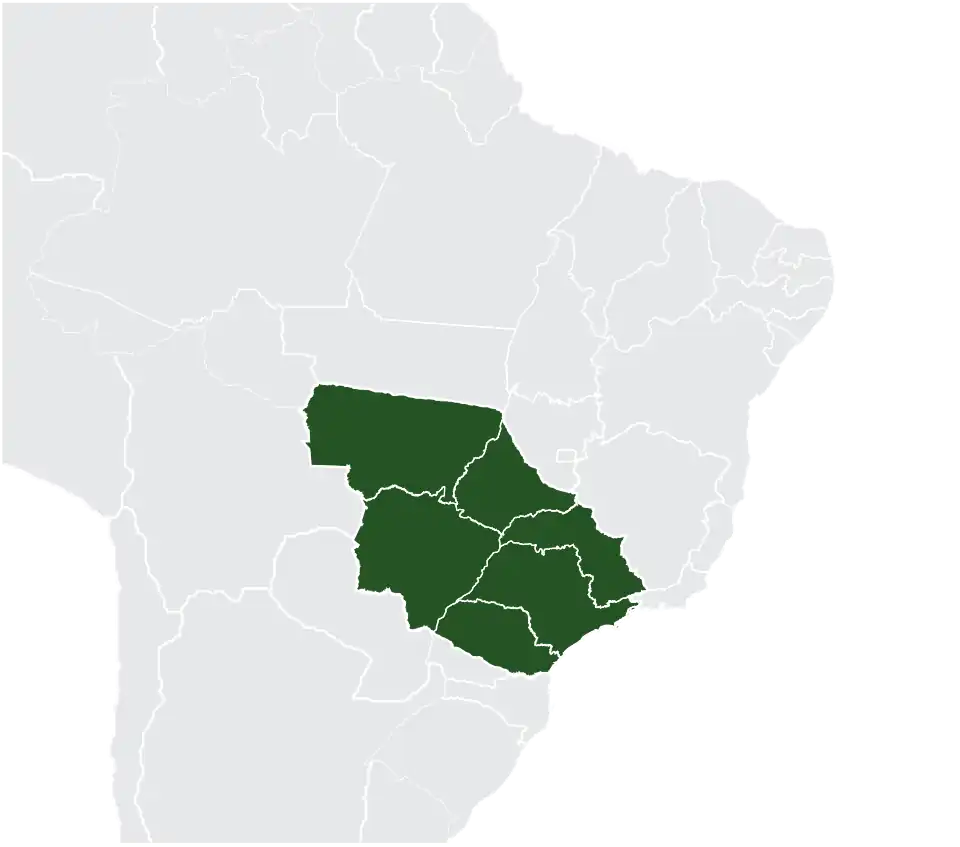 Mapa_Paulistânia